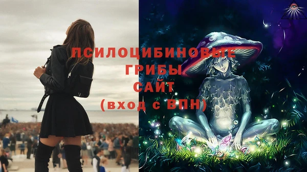 эйфоретик Костерёво