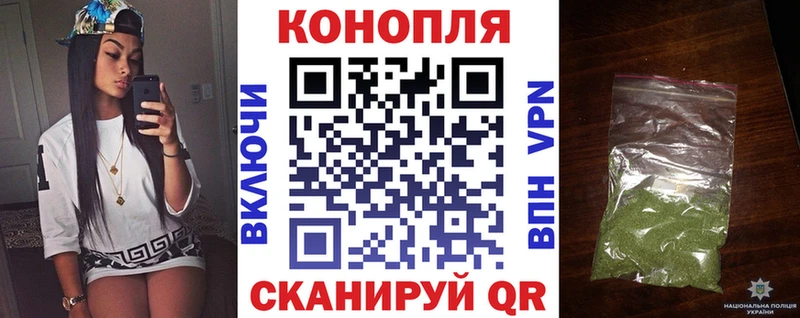Купить  Томилино  Шишки марихуана сатива 